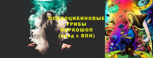 apvp Мегион