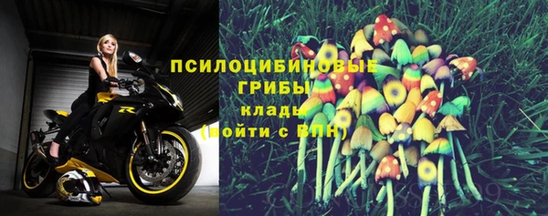 apvp Мегион