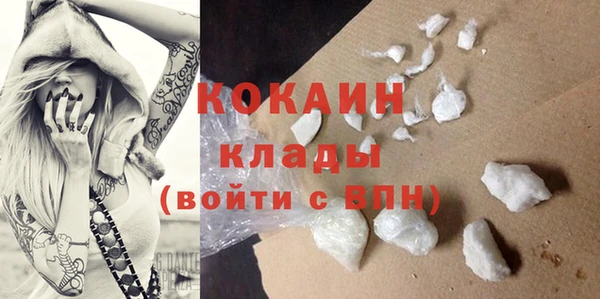 сатива Медвежьегорск