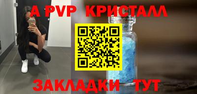 стафф Гай