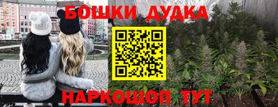 ПСИЛОЦИБИНОВЫЕ ГРИБЫ Гатчина
