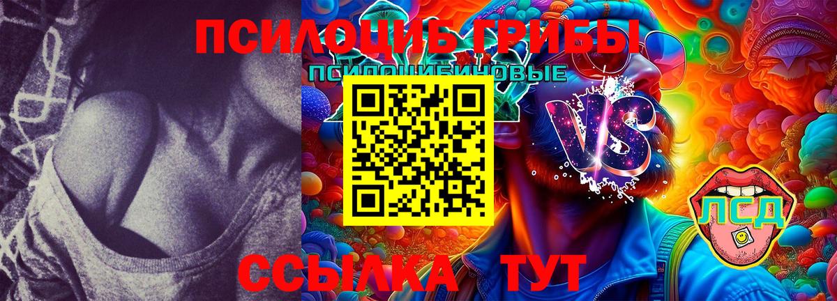 Псилоцибиновые грибы MAGIC MUSHROOMS  Вход с VPN  Димитровград 
