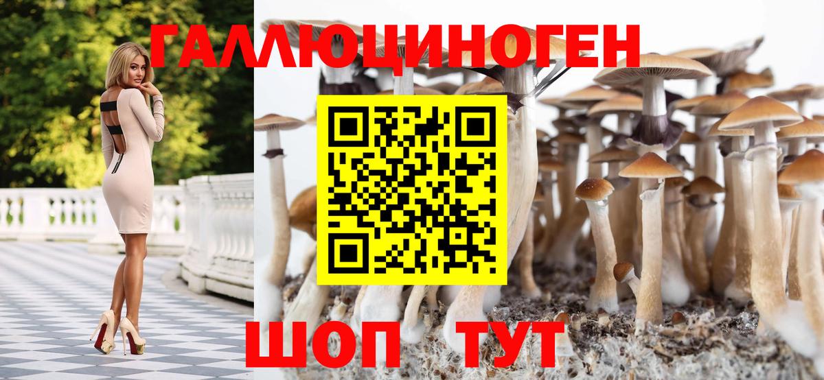 Галлюциногенные грибы ЛСД  Псилоцибиновые грибы Magic Shrooms  Димитровград 